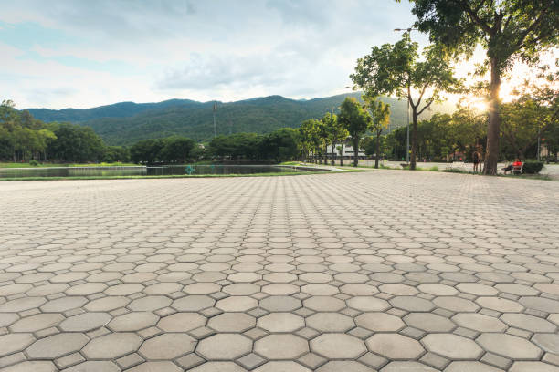 Best Commercial Driveway Pavers  in Kayenta, AZ